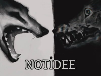 Notidee