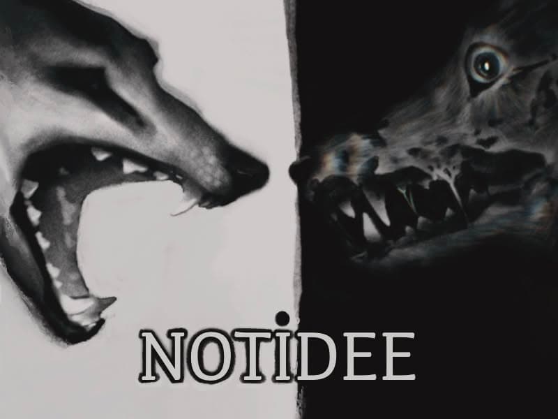 Notidee